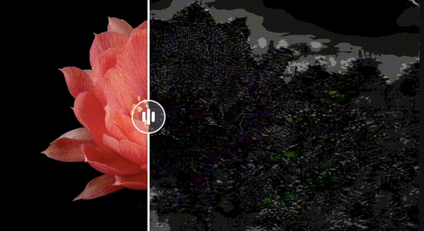 Before and after: AI watermark detection visualization showing hidden patterns in AI-generated images